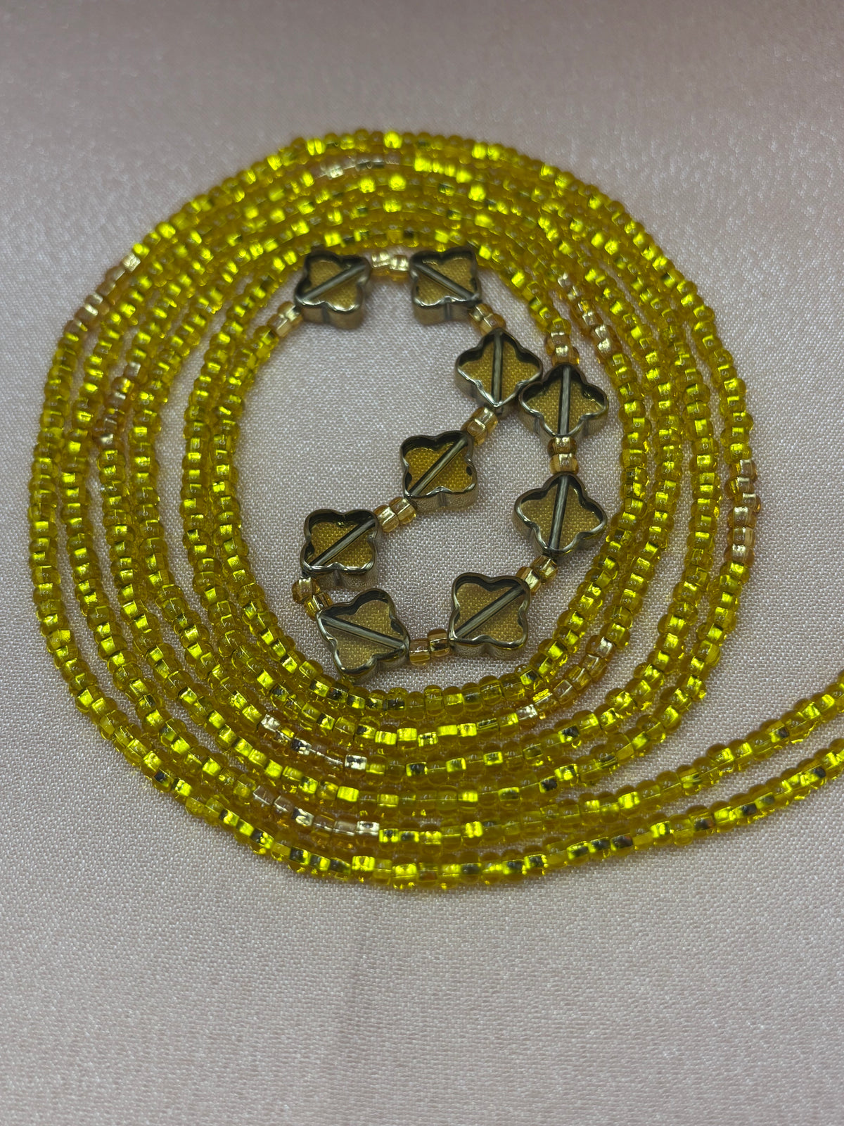 The Clover Treasure Collection