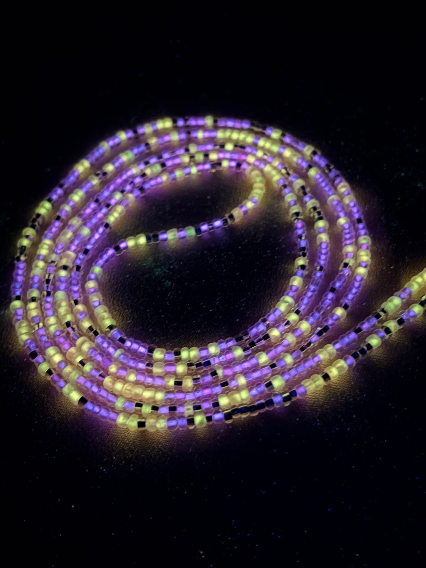 The Luminous Collection